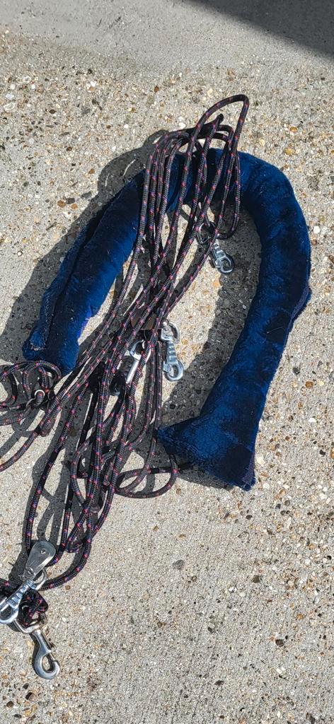 Pessoateugel, Dieren en Toebehoren, Paarden en Pony's | Hoofdstellen en Tuigage, Zo goed als nieuw, Overige soorten, Ophalen