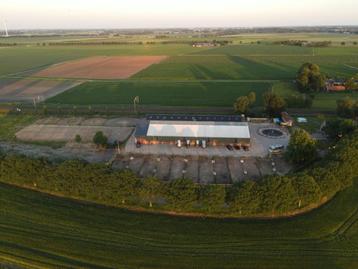 Vol- Pensionstalling in Hoeven (N-B) incl privélessen beschikbaar voor biedingen