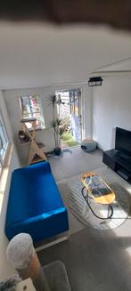 Privé (binnen)kattenpension
