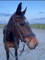 Donkerbruin Full dressuur hoofdstel + teugels, Dieren en Toebehoren, Paarden en Pony's | Hoofdstellen en Tuigage, Ophalen of Verzenden
