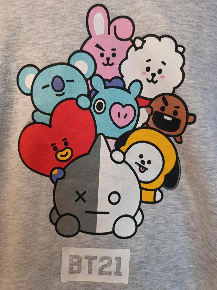 BT21 Hoodie - all sizes Grijs, Kleding | Dames, Truien en Vesten, Gedragen, Maat 36 (S), Grijs, Ophalen of Verzenden