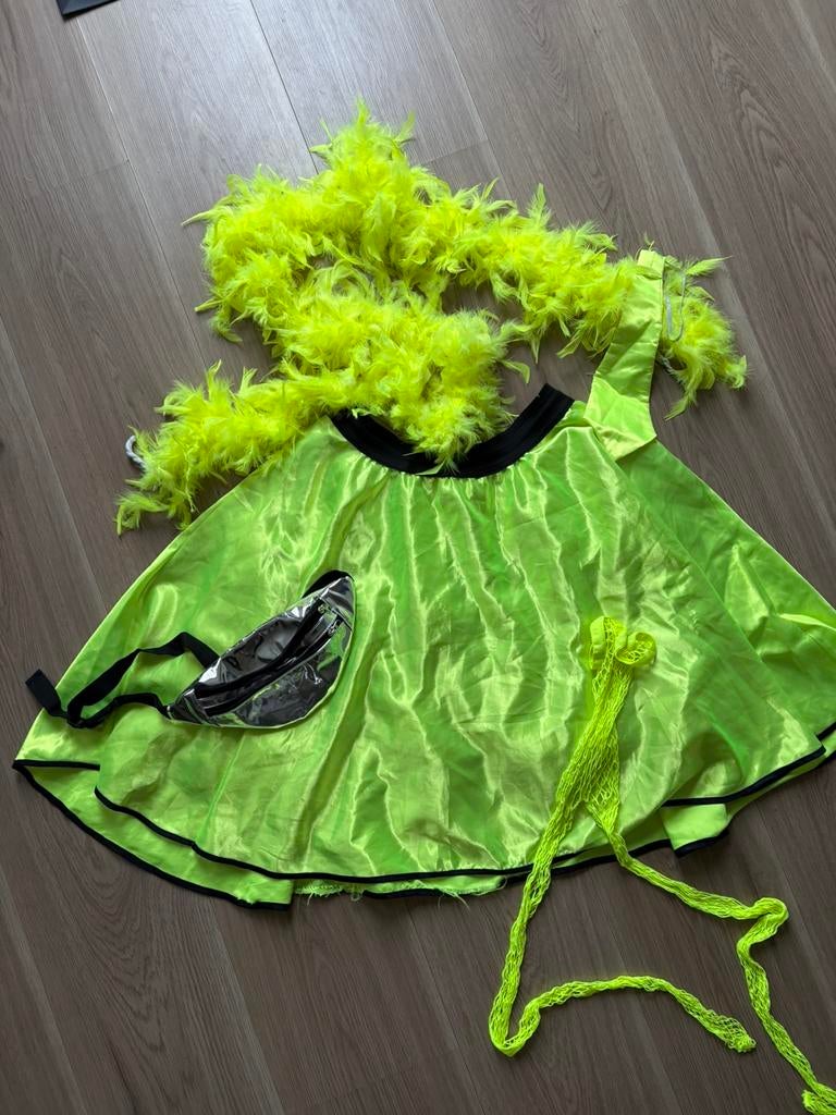 Carnavalsoutfit maat 38-42, Maat 38/40 (M), Carnaval, Ophalen of Verzenden, Kleding