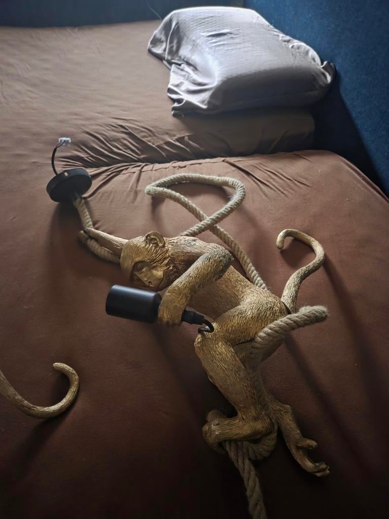 1wandlamp en een grote hanglamp aap en een sierbeeld aap, Huis en Inrichting, Lampen | Wandlampen, Ophalen of Verzenden, Zo goed als nieuw