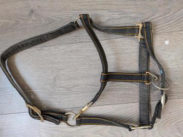 Halster maat Pony beschikbaar voor biedingen