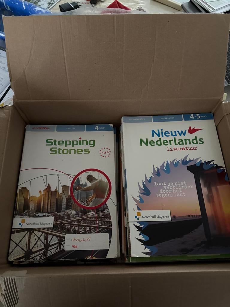 4 Havo Boeken: Stepping Stones Engels & Nieuw Nederlands, Boeken, Ophalen of Verzenden, Gelezen, Overige niveaus