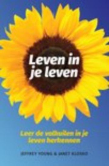 Leven in je leven. Leer de valkuilen in je leven herkennen beschikbaar voor biedingen
