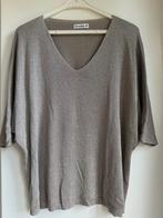 beige/zilverdraad gebreide dunne vlinder top maat 38 FRENKIE, Kleding | Dames, Maat 38/40 (M), Beige, Nieuw, FRENKIE