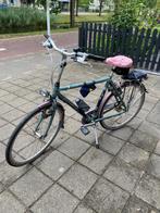 Gazelle Medeo (herenfiets), Ophalen, Gebruikt, Versnellingen, 57 tot 61 cm
