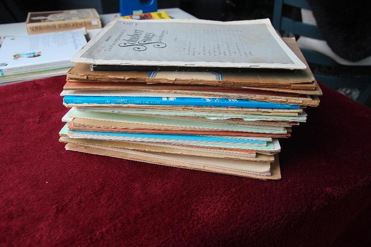 40 stuks lesboeken en bladmuziek, Muziek en Instrumenten, Bladmuziek, Gebruikt, Artiest of Componist, Populair, Ophalen of Verzenden