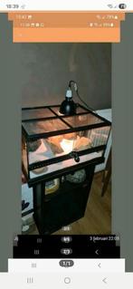 Te koop terrium met kast, Ophalen, Gebruikt, Overige typen