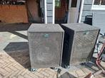 2 Solton Baskasten, Overige merken, Gebruikt, Subwoofer, Ophalen of Verzenden