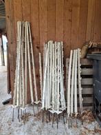 Weidepaaltjes,  prikpaaltjes