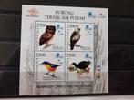 sheet  2012, vogels, Postzegels en Munten, Postzegels | Azië, Zuidoost-Azië, Verzenden, Postfris