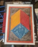 Sol Lewitt 100 Cubes, Ophalen of Verzenden, Zo goed als nieuw
