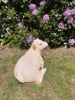 (tuin) Beeld texel schaap lammetje, tuin, boerderij 55 cm, Ophalen, Nieuw, Kunststof, Dierenbeeld