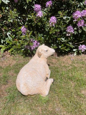 (tuin) Beeld texel schaap lammetje, tuin, boerderij 55 cm beschikbaar voor biedingen
