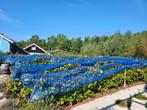 wespennet Vinea, Tuin en Terras, Volle zon, Ophalen