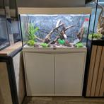 Aquatlantis Volga 125 incl. meubel en toebehoren, Ophalen, Zo goed als nieuw, Leeg aquarium