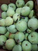 St. Remy Stoofperen - 2,5 Kilo, Ophalen