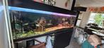 Aquarium 2 meter breed, Ophalen, Gebruikt, Gevuld zoetwateraquarium