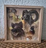 Rien Poortvliet prent, Ophalen of Verzenden, Minder dan 50 cm, Schilderij, Minder dan 50 cm