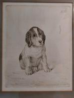 Ets Hond Puppy W. Pech - Ingelijst Wilhelm Pech, Ophalen of Verzenden
