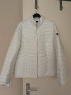 Pescara jasje, Kleding | Dames, Jassen | Winter, Ophalen of Verzenden, Zo goed als nieuw