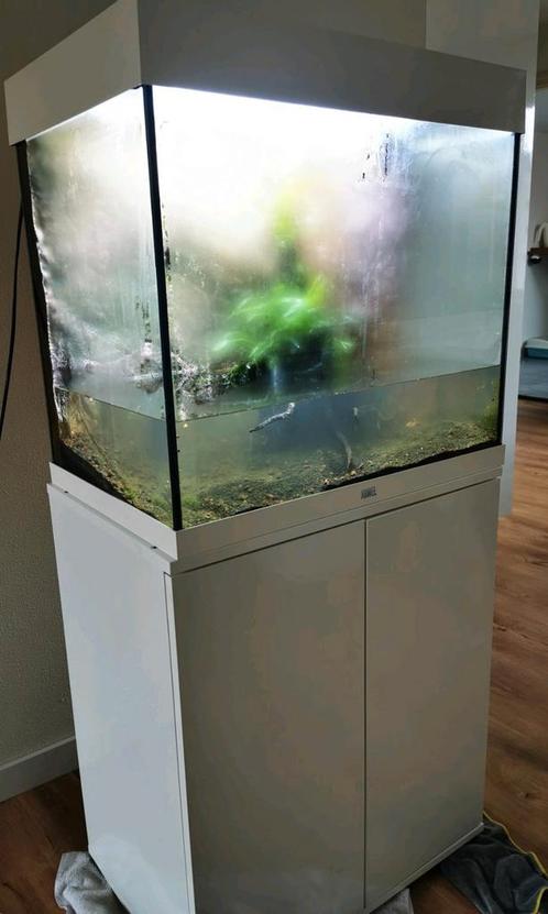 Juwel Lido 120 wit - compleet, Dieren en Toebehoren, Vissen | Aquaria en Toebehoren, Zo goed als nieuw, Leeg aquarium, Ophalen