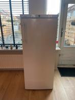 Liebherr A++ koelkast – vrijstaand – 297L – super netjes, Ophalen, 200 liter of meer, 60 cm of meer, Energieklasse A of zuiniger