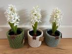 Gehaakte Bloempotjes met Kunstplant, Ophalen of Verzenden, Nieuw, Binnen