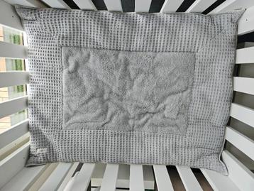 Boxkleed Koeka beschikbaar voor biedingen