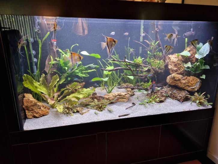 Maatwerk Aquarium L180xB55xH112 cm, Dieren en Toebehoren, Vissen | Aquaria en Toebehoren, Zo goed als nieuw, Leeg aquarium, Ophalen