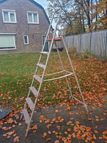 Flinke oersterke ladder - trap in een keurige conditie  beschikbaar voor biedingen