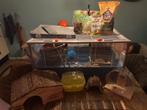 Knaagdierkooi met super veel extra accessoires!, Dieren en Toebehoren, Kooi, Gebruikt, Hamster, 75 tot 110 cm