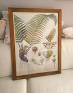 Poster in lijst botanisch Sissy-Boy Wurmfarn 57 x 77 cm, Ophalen of Verzenden, 50 tot 75 cm, Foto of Poster, 75 cm of meer