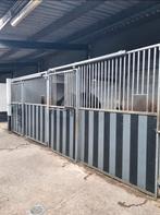 Bevallingsboxen 6x3 meter l  Drachtbegeleiding l Kraamzorg, Dieren en Toebehoren, Stalling en Weidegang
