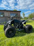 Yamaha Raptor, Motoren, Quads en Trikes, 250 cc, 1 cilinder, 12 t/m 35 kW