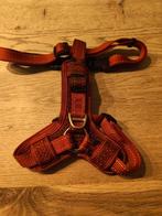 Rogz honden tuigje maat L, Ophalen of Verzenden, Zo goed als nieuw