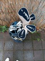 Golfset Hero, Overige merken, Ophalen of Verzenden, Zo goed als nieuw, Tas