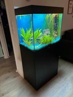 Juwel Aquarium Lido 120 Led, Dieren en Toebehoren, Vissen | Aquaria en Toebehoren, Ophalen, Gebruikt, Leeg aquarium