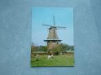 Vilsteren, molen koe in weiland 1979, Verzenden, 1960 tot 1980, Gelopen, Gelderland