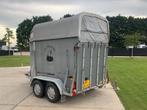 Hotra 2 paardentrailer / gesloten aanhangwagen / Foodtruck, Dieren en Toebehoren, Gebruikt, 2-paards trailer