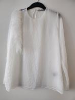 Blouse Zara Nieuw !, Ophalen of Verzenden, Nieuw, Maat 38/40 (M)