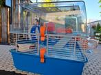 Hamsterkooi compleet, Dieren en Toebehoren, Kooi, Gebruikt, Minder dan 75 cm, Hamster