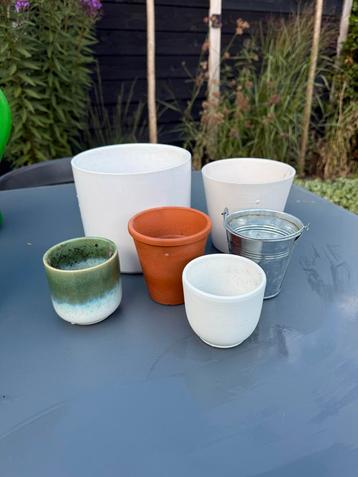 Set Bloempotten voor Binnen beschikbaar voor biedingen