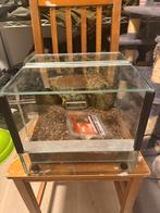Terrarium 30-30-30, Ophalen, Zo goed als nieuw