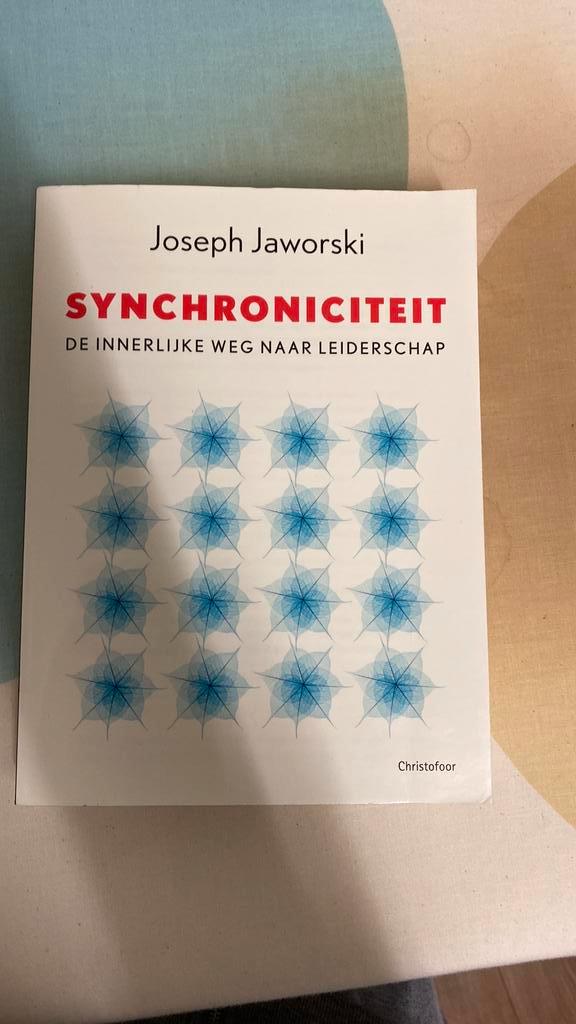 J. Jaworski - Synchroniciteit, Boeken, Economie, Management en Marketing, Gelezen, Management, Ophalen of Verzenden