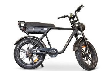 Nieuwe Ape Ryder A10 pro fatbike. beschikbaar voor biedingen