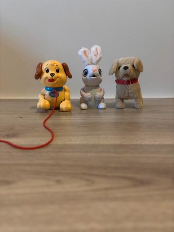 2 hondjes en een konijn beschikbaar voor biedingen