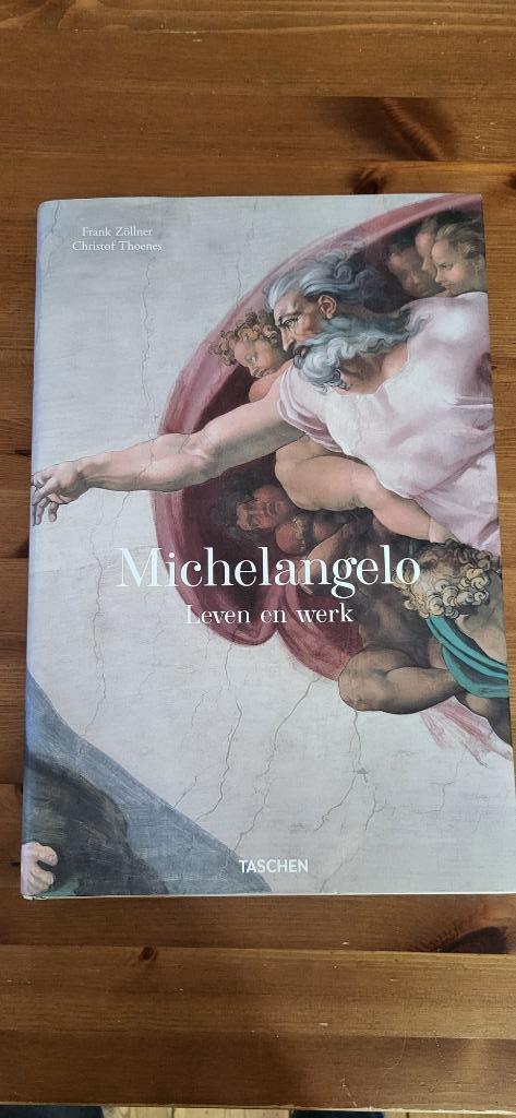 Michelangelo leven en werk, Boeken, Kunst en Cultuur | Beeldend, Zo goed als nieuw, Schilder- en Tekenkunst, Ophalen of Verzenden